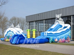 Inflatable Water Park With Pool