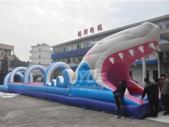 Adults And Kids Water Slide Shark Inflatable Slip N Slide