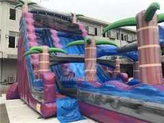 New Jungle Theme Inflatable Water Slide With Pool For Amusement Park