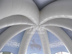 Custom Advertising Giant Landmark Domes And Inflatable Tent