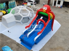 Octopus Small Inflatable Water Slide For Pool