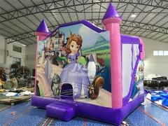 Commercial PVC Inflatable Bounce House purple inflatable combo bouncer