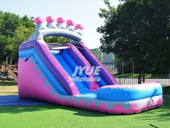 pink water slide Jyue-IWS-011