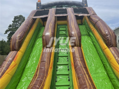 dinosaur water slide Jyue-IWS-015