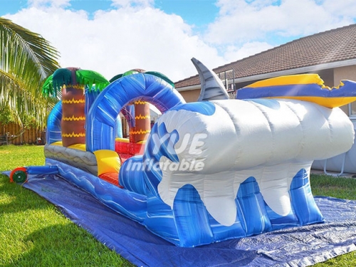 palm tree slip and slide Jyue-SNS-090