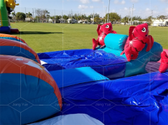 big kahuna water slide for sale Jyue-IWS-048