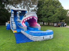 shark water slide Jyue-IWS-001