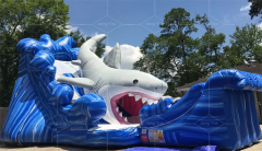 shark inflatable water slide Jyue-IWS-008