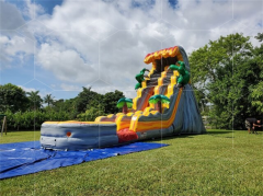 dinosaur inflatable water slide Jyue-IWS-054