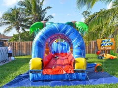 palm tree slip and slide Jyue-SNS-090