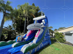 shark blow up water slide Jyue-IWS-009