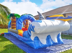 palm tree slip and slide Jyue-SNS-090