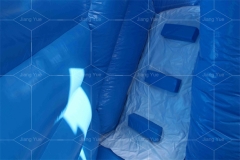 frozen bouncy castle with slide Jyue-IC-086