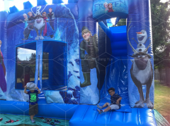 frozen bounce house with slide Jyue-IC-087