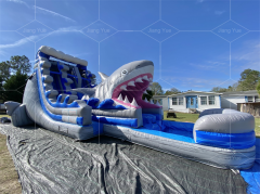 shark water slide Jyue-IWS-001