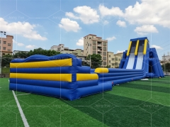 Huge High Hippo Inflatable Water Slide for Adults With Pool Ended From China Inflatable Manufacturer