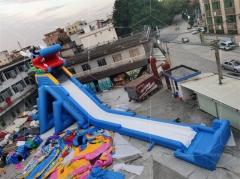 Outdoor Dragon Inflatable Animal Water Slides Long Commercial Inflatable Hippo Slide