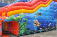 Sea World Inflatable Water Slide Into Pool