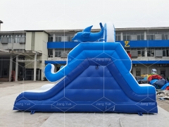 Water Play Equipment Dolphin Inflatable Water Slide for Swimming Pool